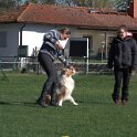 IMG 1509