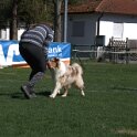 IMG 1510