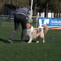 IMG 1511