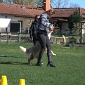 IMG 1515