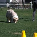 IMG 1517
