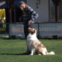 IMG 1519