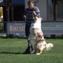 IMG 1521