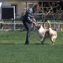 IMG 1524