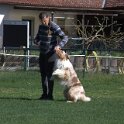 IMG 1527