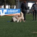 IMG 1533
