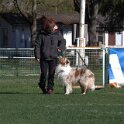 IMG 1539