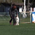 IMG 1543