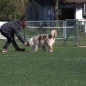 IMG 1545