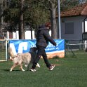 IMG 1548