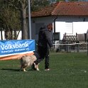 IMG 1549