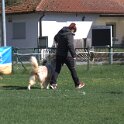 IMG 1550