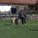 IMG 1552