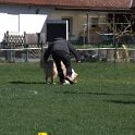 IMG 1553