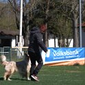 IMG 1564