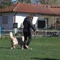 IMG 1566