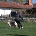 IMG 1568