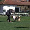 IMG 1571