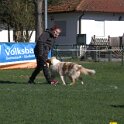 IMG 1573