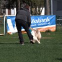 IMG 1575