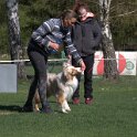 IMG 1584