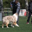 IMG 1590