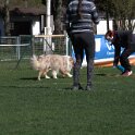 IMG 1591