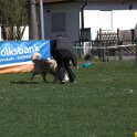 IMG 1593