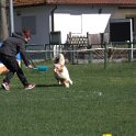 IMG 1595