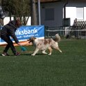 IMG 1596