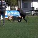 IMG 1597