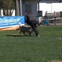IMG 1598