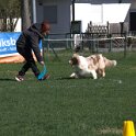 IMG 1600