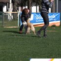 IMG 1602