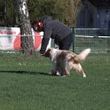 IMG 1603