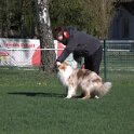 IMG 1605