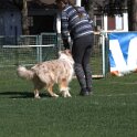 IMG 1608