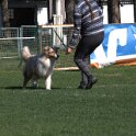 IMG 1609