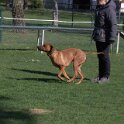 IMG 1628