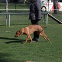 IMG 1641
