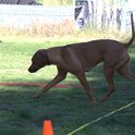 IMG 1646