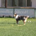 IMG 1683