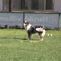 IMG 1684