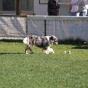 IMG 1692