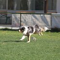 IMG 1696