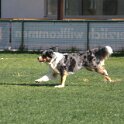 IMG 1698