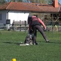 IMG 1702