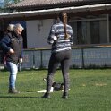 IMG 1712