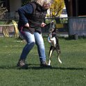 IMG 1716