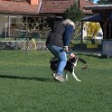 IMG 1730